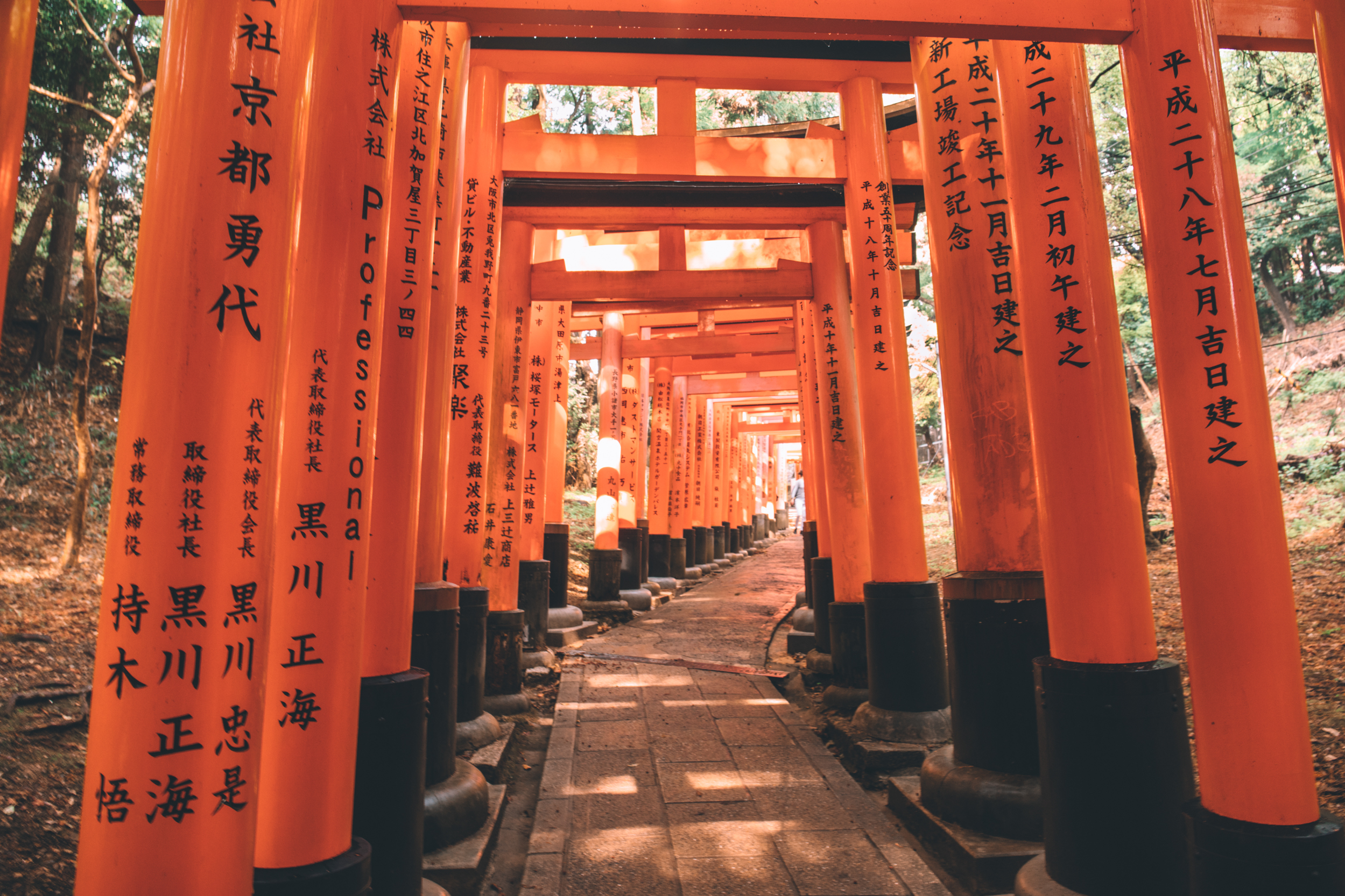 Fushimi-Inari Taisha Shrine (Photo: hiemilyrose.com)